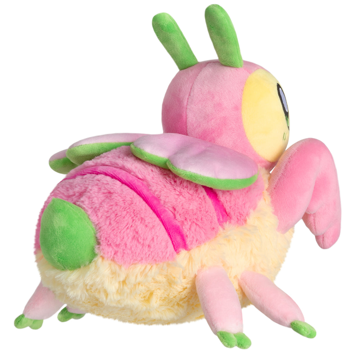 Mini Squishable Orchid Mantis