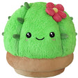 Squishable Cactus